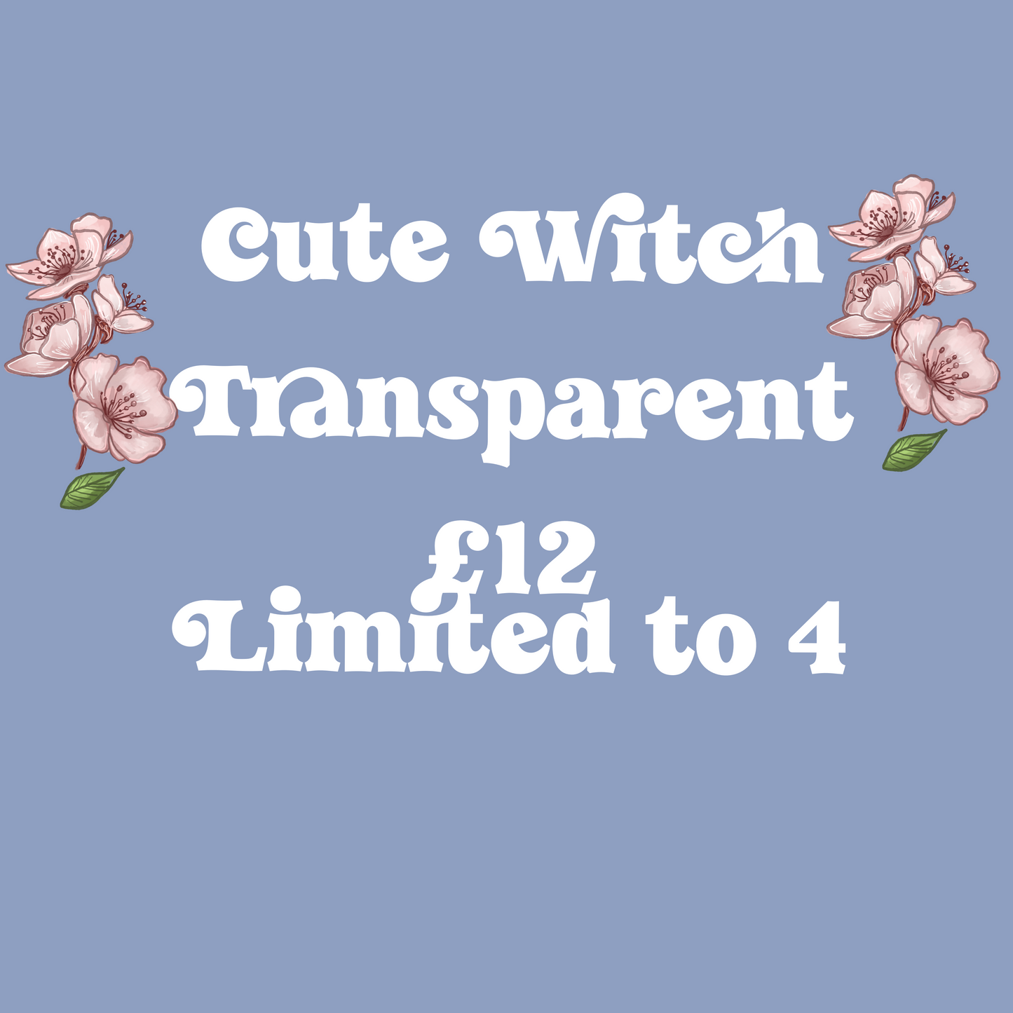 Cute Witch transparent