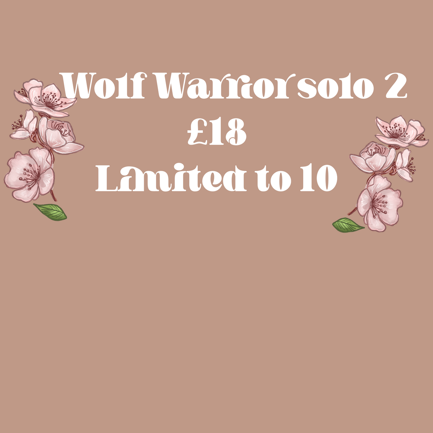Wolf warrior solo 2