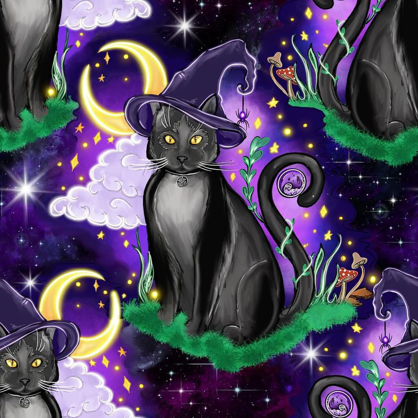 Witch cat 1