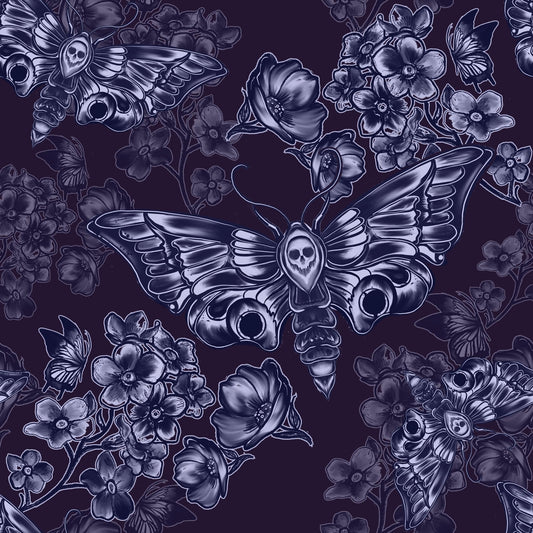 Moth blue