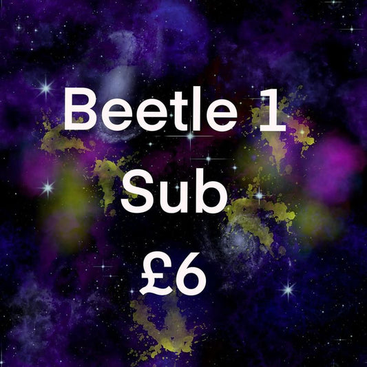 Beetle 1 sub
