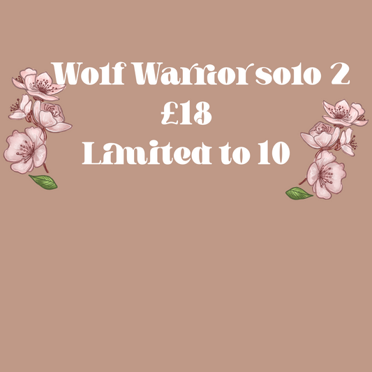 Wolf warrior solo 2