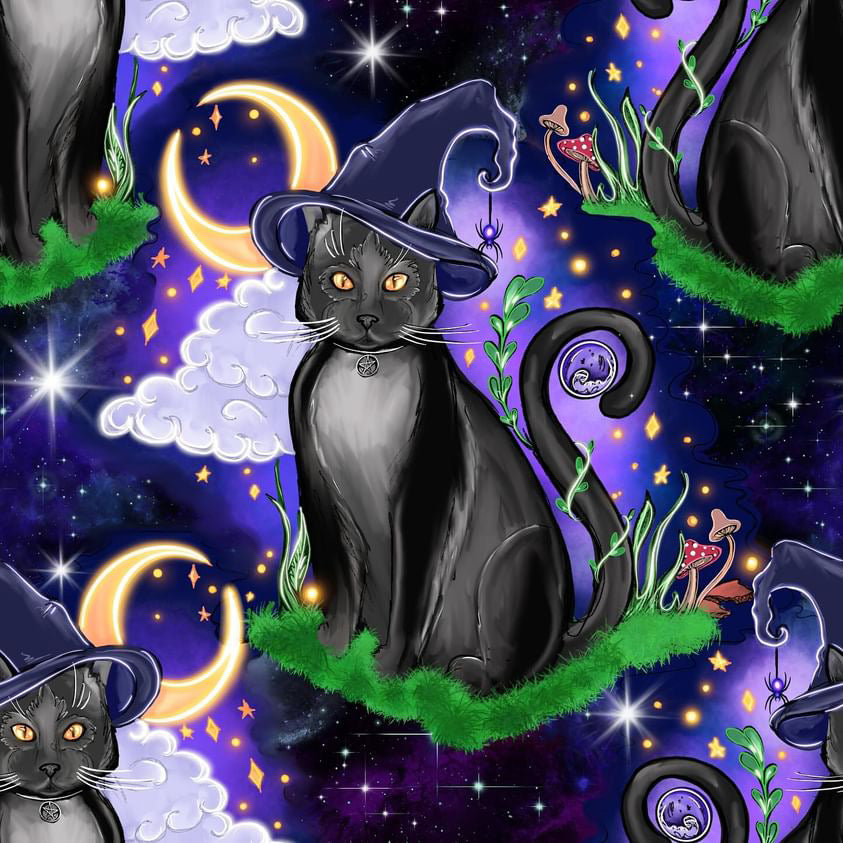 Witch cat 2