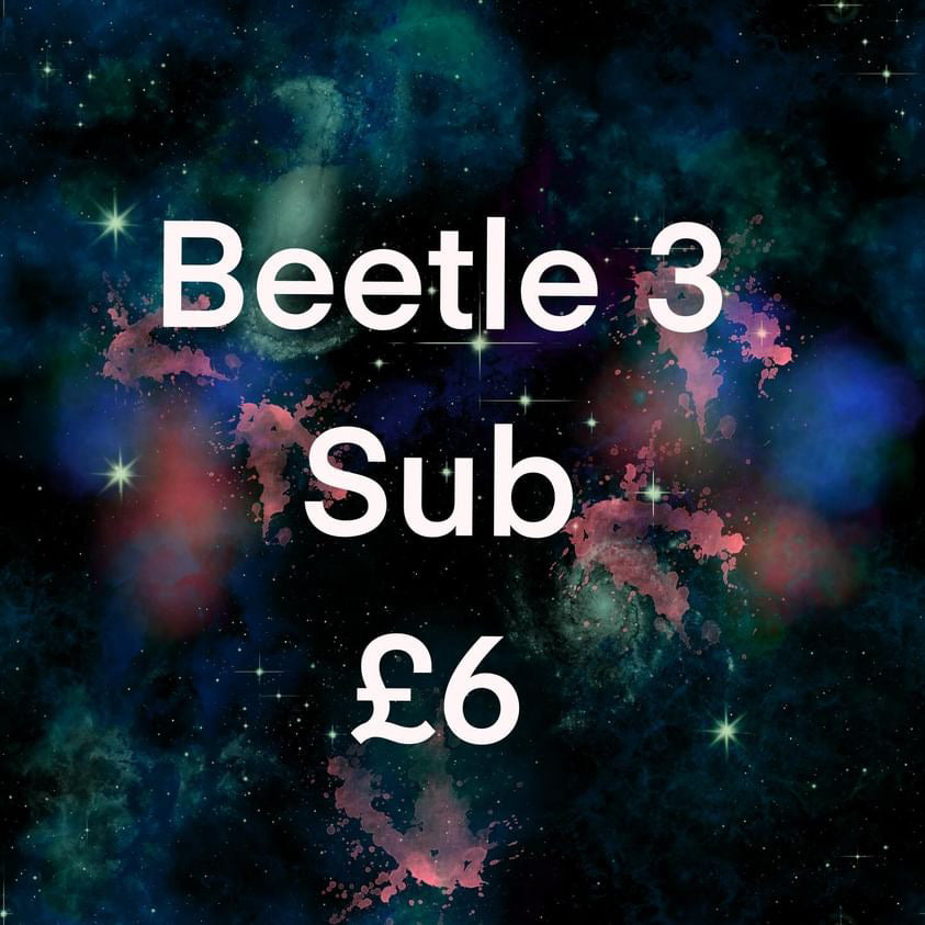 Beetle 3 sub