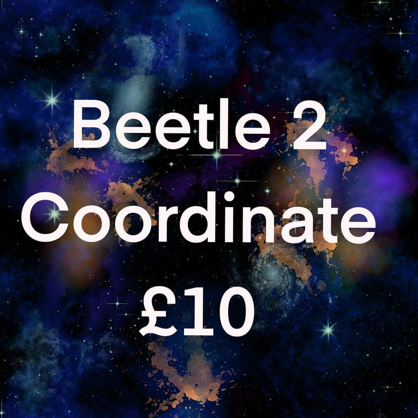 Beetle 2 coord