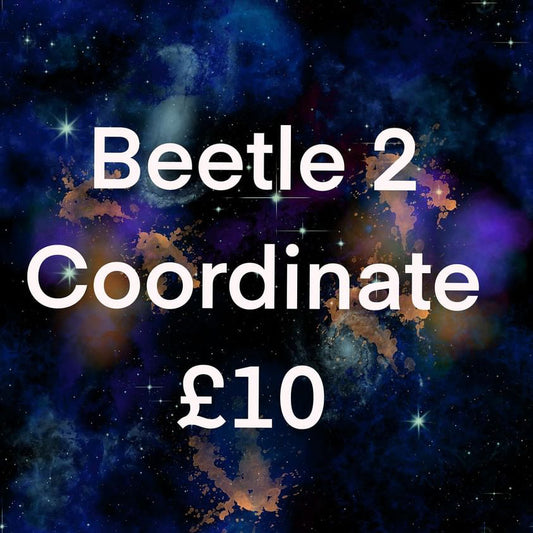 Beetle 2 coord