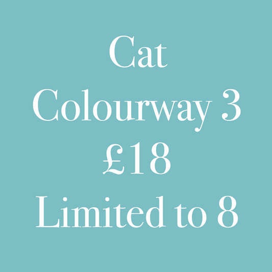 Cat Colourway 3
