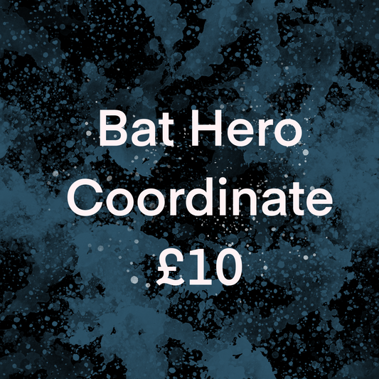 Bat hero coordinate