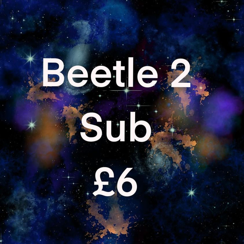 Beetle 2 sub