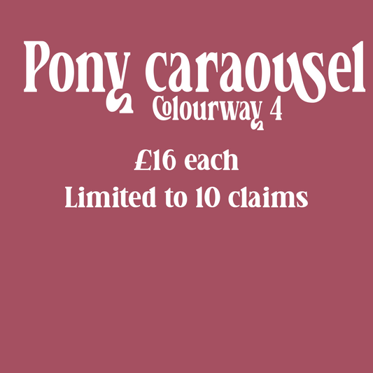 Pony carousel Colourway 4