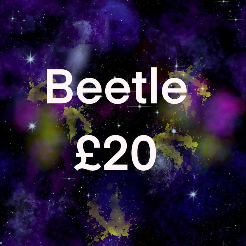 Beetle 1