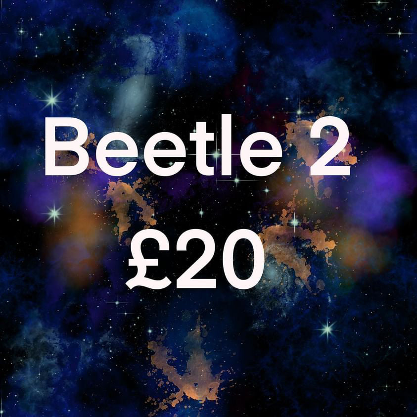 Beetle 2
