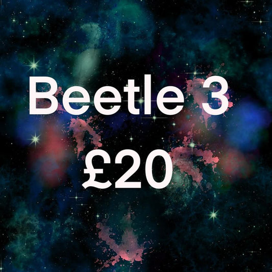 Beetle 3