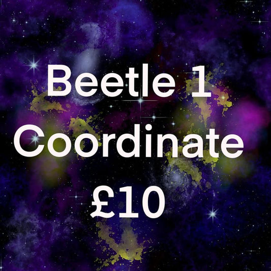 Beetle 1 coordinate