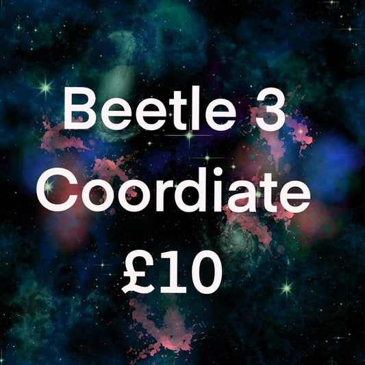Beetle 3 coordinate