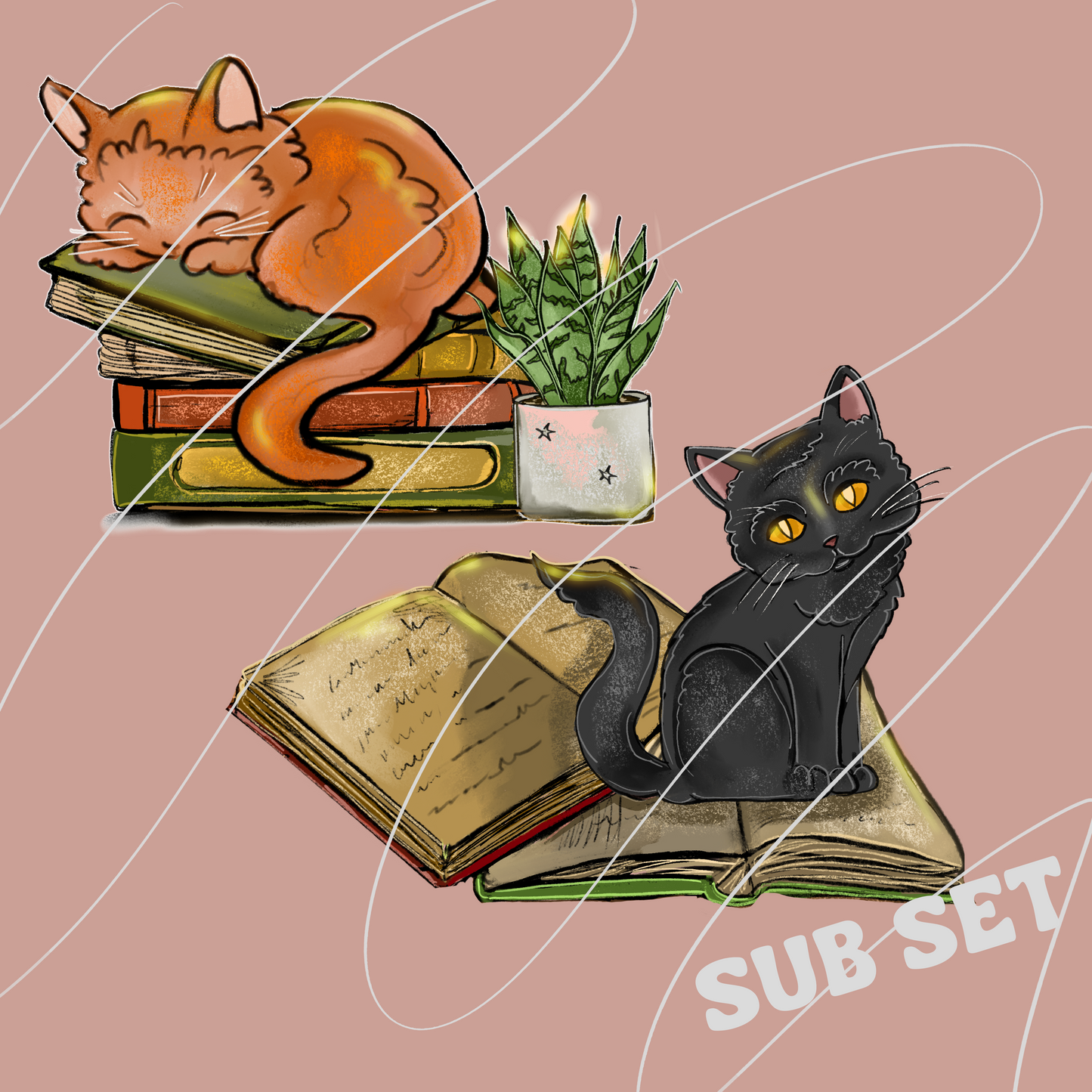 MOXIE MARKET- RANDOM