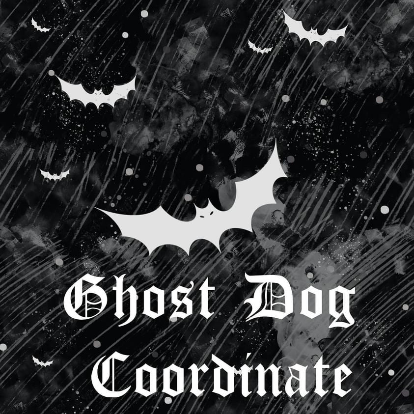Ghost dog coordinate