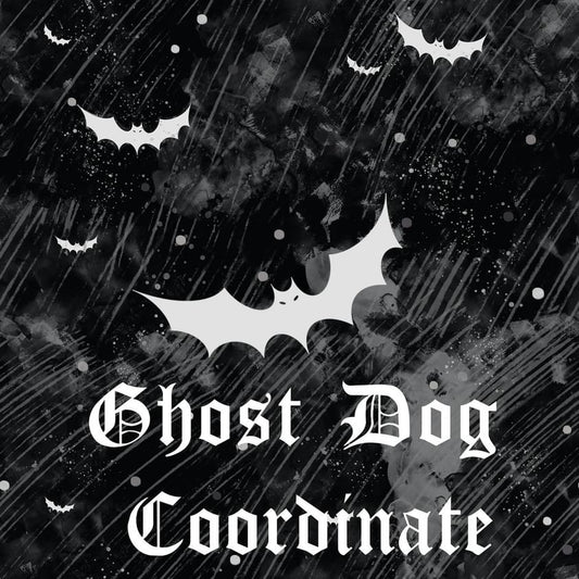 Ghost dog coordinate